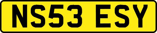 NS53ESY