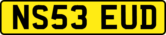 NS53EUD