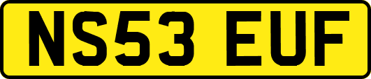 NS53EUF