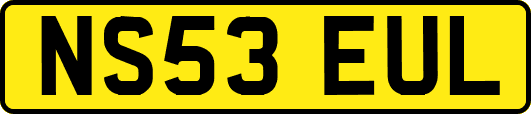 NS53EUL