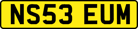 NS53EUM