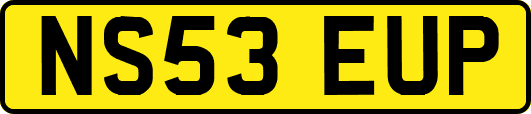 NS53EUP