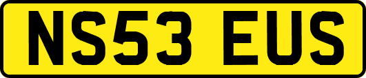 NS53EUS