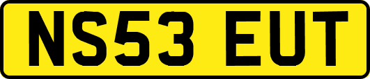 NS53EUT