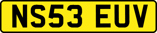 NS53EUV