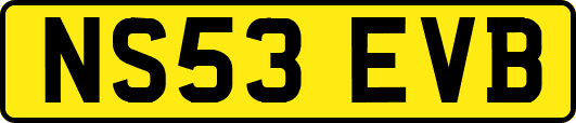 NS53EVB