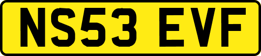 NS53EVF