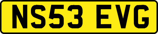 NS53EVG