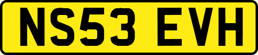 NS53EVH