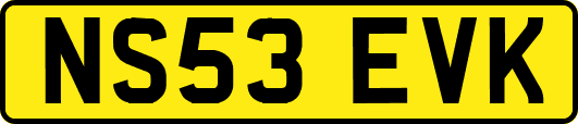 NS53EVK