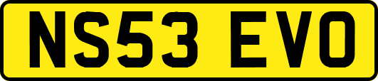 NS53EVO