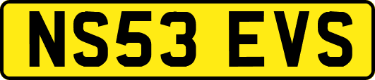 NS53EVS