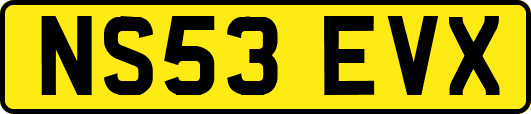 NS53EVX