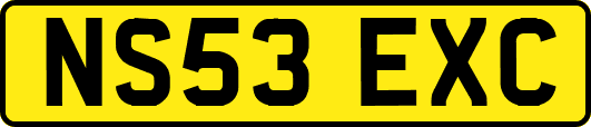 NS53EXC