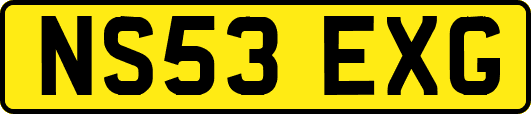 NS53EXG