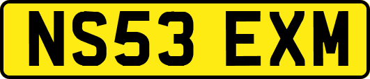 NS53EXM