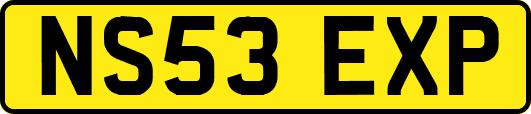 NS53EXP