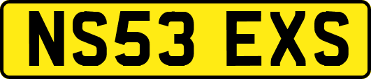 NS53EXS