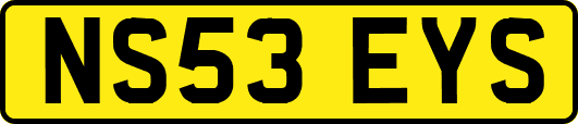 NS53EYS