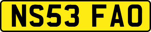 NS53FAO