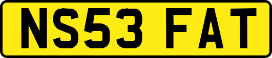NS53FAT
