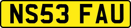 NS53FAU