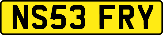NS53FRY
