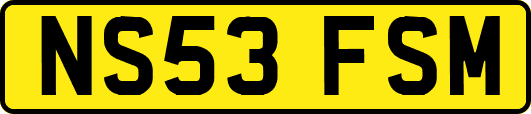 NS53FSM