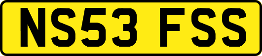 NS53FSS