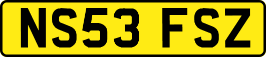 NS53FSZ