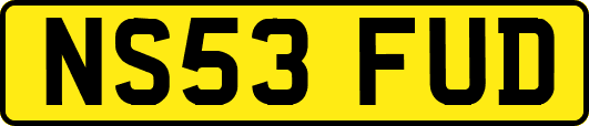 NS53FUD