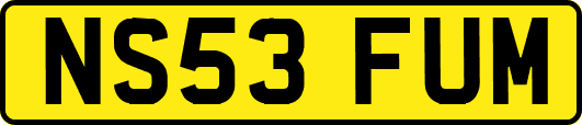 NS53FUM