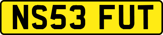 NS53FUT