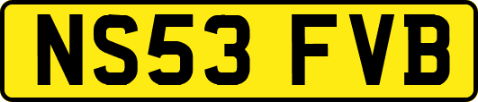 NS53FVB