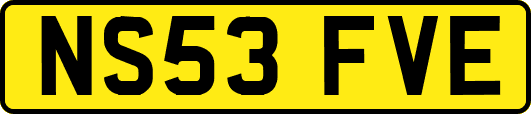 NS53FVE