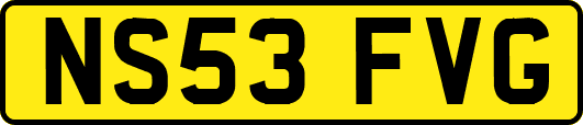 NS53FVG