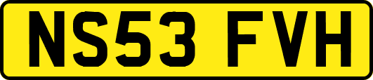 NS53FVH