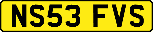 NS53FVS