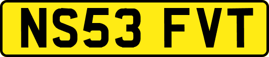 NS53FVT