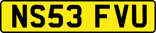 NS53FVU