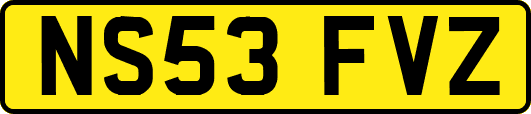 NS53FVZ