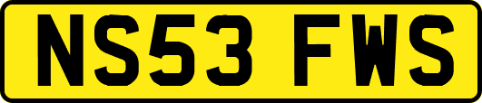 NS53FWS