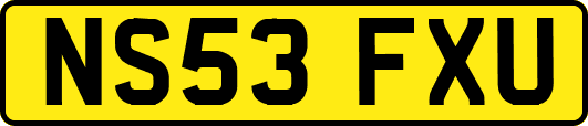 NS53FXU