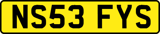 NS53FYS