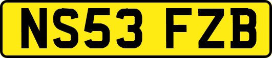 NS53FZB