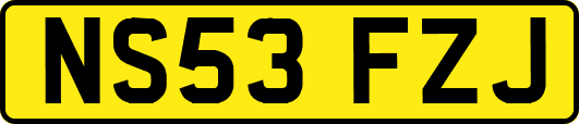 NS53FZJ