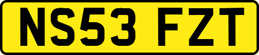 NS53FZT