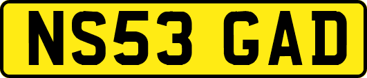 NS53GAD
