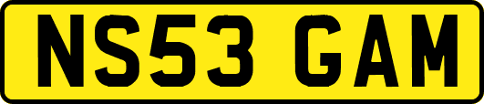 NS53GAM