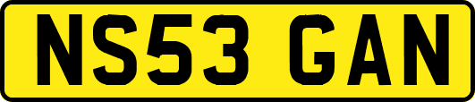 NS53GAN